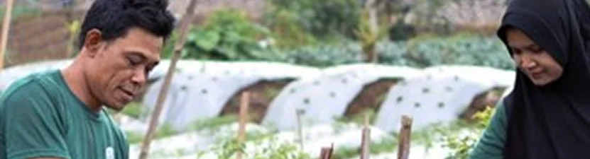 Work with youth to provide support in assisting smallholder farmers, thereby amplifying their voices and influence in shaping agricultural development agendas.